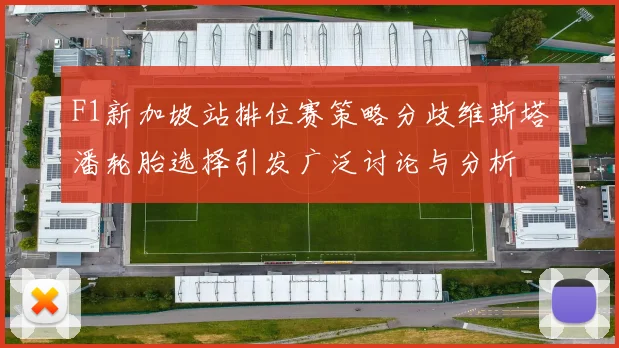 F1新加坡站排位赛策略分歧维斯塔潘轮胎选择引发广泛讨论与分析