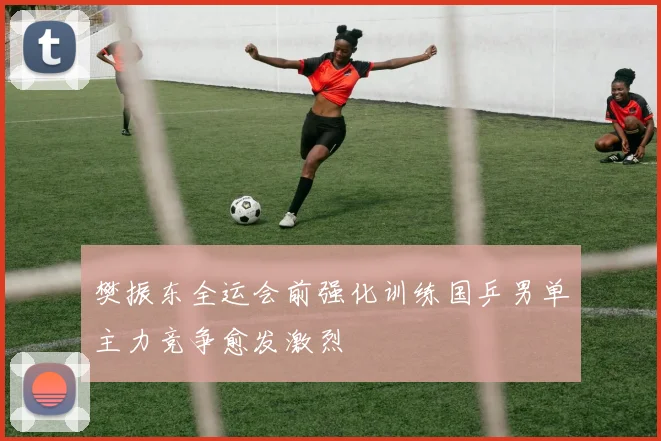 樊振东全运会前强化训练国乒男单主力竞争愈发激烈